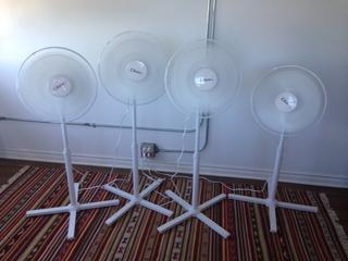 fans fans
