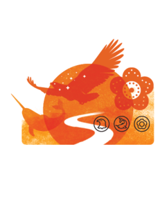 ndtr_ig_sticker_full_1631541469222_eng.png