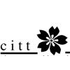 CITT-BCSection.TN.jpg