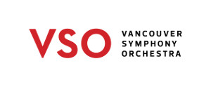 VSO-Logo-Primary-300x124Pixels-RGB.jpg